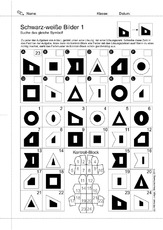 05 Konzentration sw-Bilder.pdf